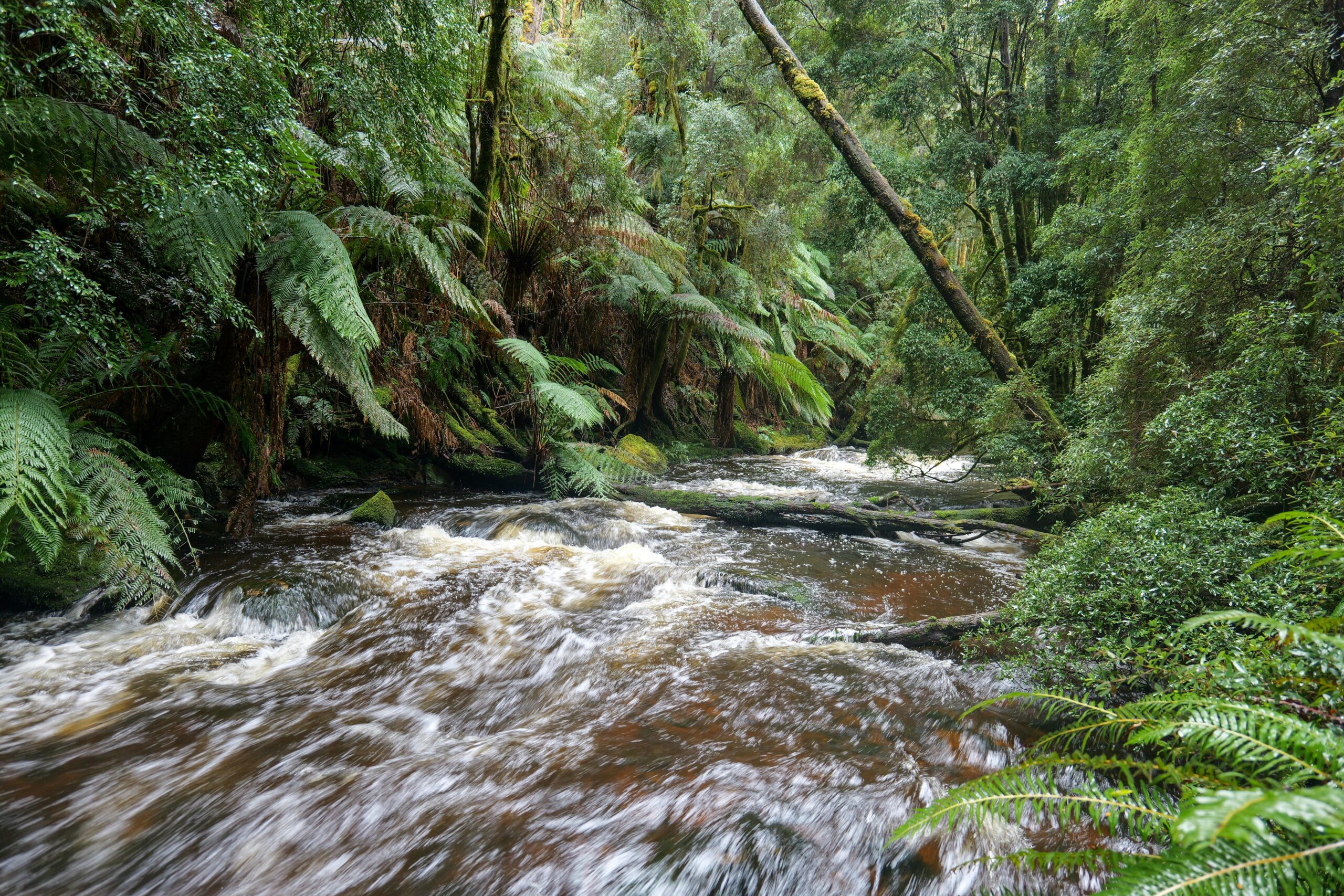 Barrington Tops